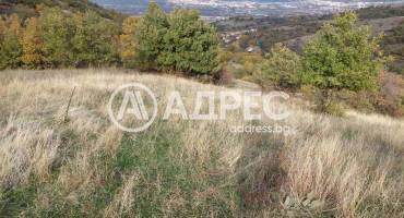 Земеделска земя, Покровник, 312492, Снимка 3