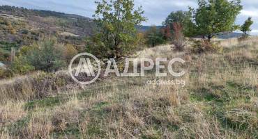 Земеделска земя, Покровник, 312492, Снимка 5