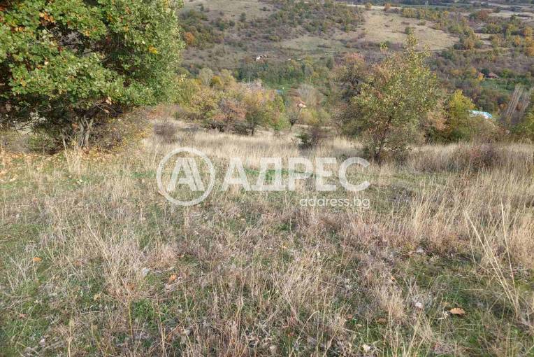 Земеделска земя, Покровник, 312492, Снимка 1