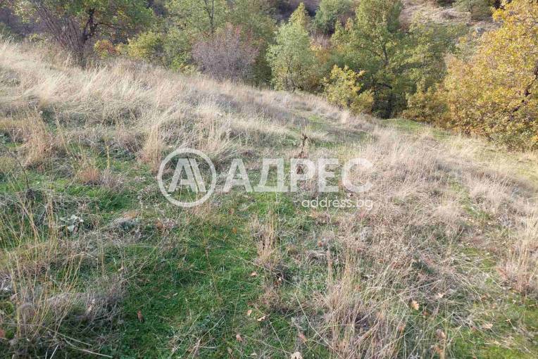 Земеделска земя, Покровник, 312492, Снимка 2