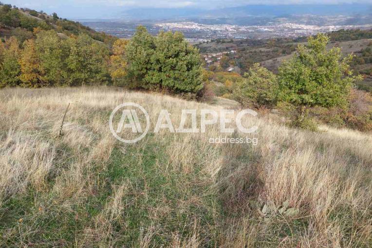 Земеделска земя, Покровник, 312492, Снимка 3