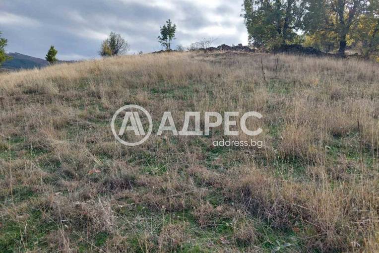 Земеделска земя, Покровник, 312492, Снимка 4