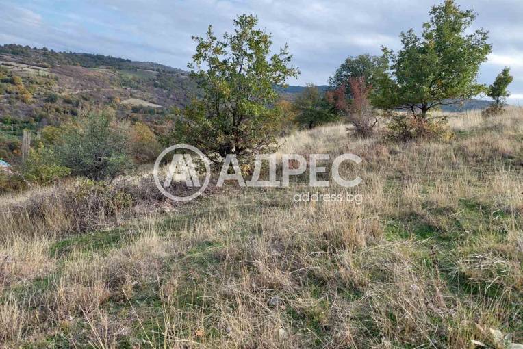 Земеделска земя, Покровник, 312492, Снимка 5