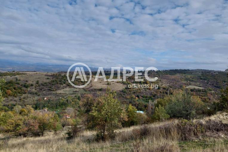 Земеделска земя, Покровник, 312492, Снимка 6