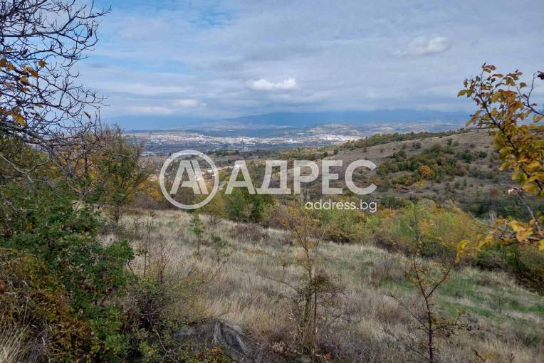 Земеделска земя, Покровник, 312492, Снимка 7