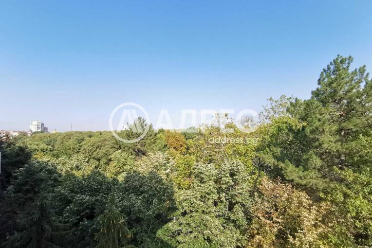 Двустаен апартамент, Русе, Ялта, 465494, Снимка 12