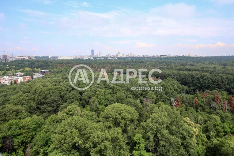 Многостаен апартамент, София, Дианабад, 692500, Снимка 20