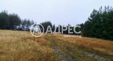 Парцел/Терен, Ярема, 663501, Снимка 1