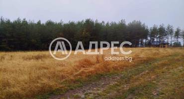 Парцел/Терен, Ярема, 663501, Снимка 3