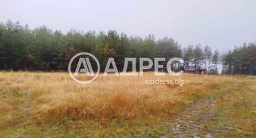 Парцел/Терен, Ярема, 663501, Снимка 4