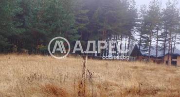 Парцел/Терен, Ярема, 663501, Снимка 6