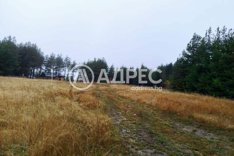 Парцел/Терен, Ярема, 663501, Снимка 1