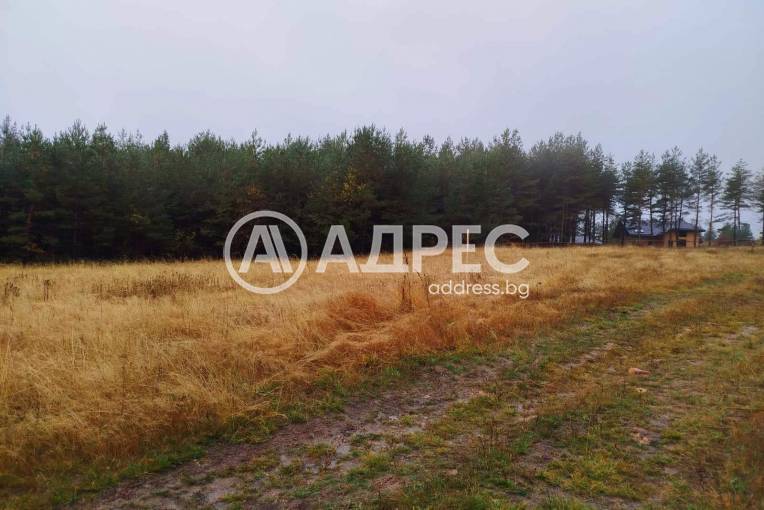 Парцел/Терен, Ярема, 663501, Снимка 3