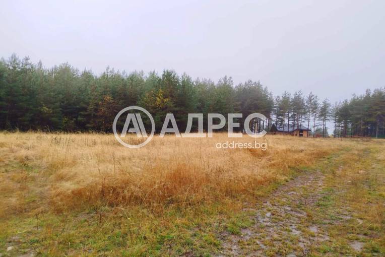 Парцел/Терен, Ярема, 663501, Снимка 4