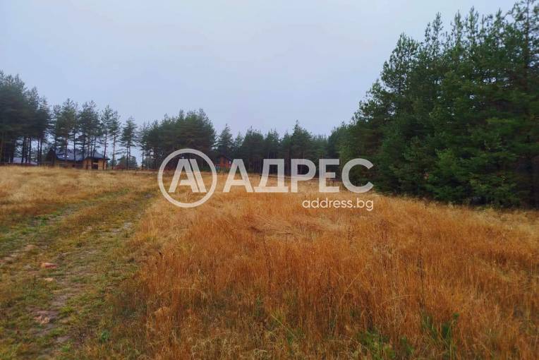 Парцел/Терен, Ярема, 663501, Снимка 5