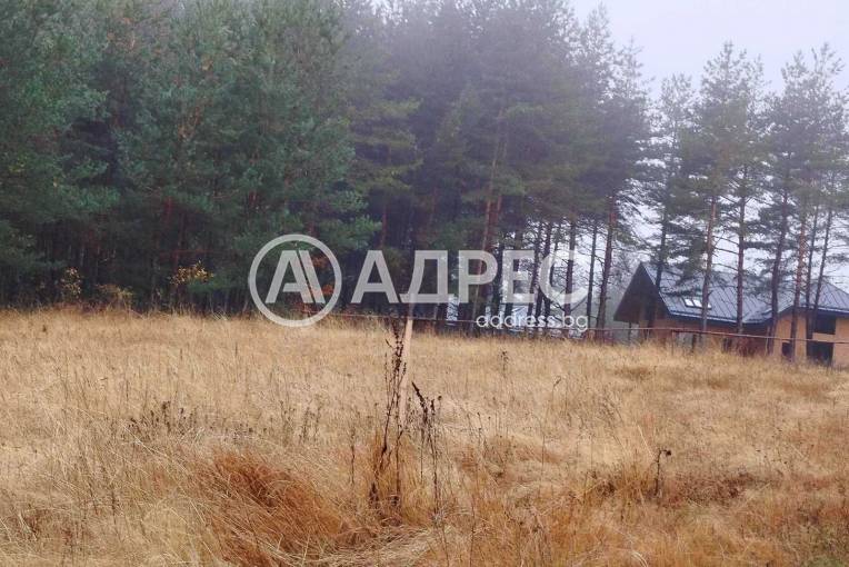 Парцел/Терен, Ярема, 663501, Снимка 6