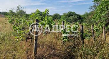 Парцел/Терен, Страшимирово, 658504, Снимка 4