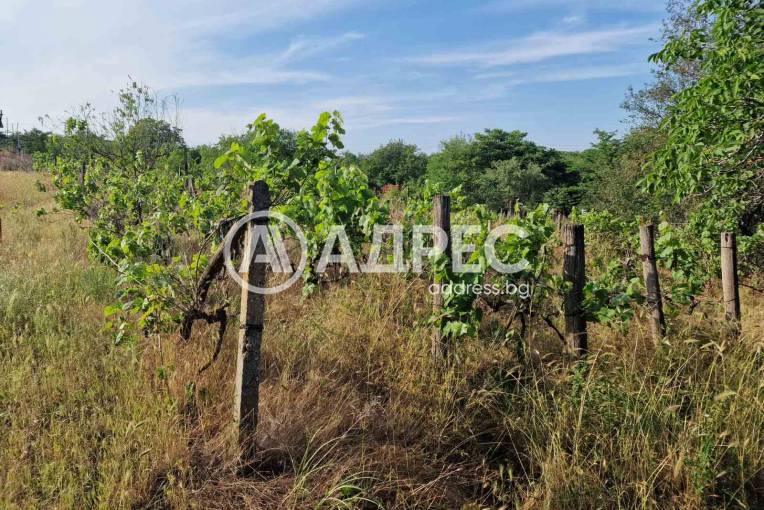 Парцел/Терен, Страшимирово, 658504, Снимка 4