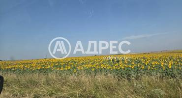Къща/Вила, Медковец, 702512, Снимка 9