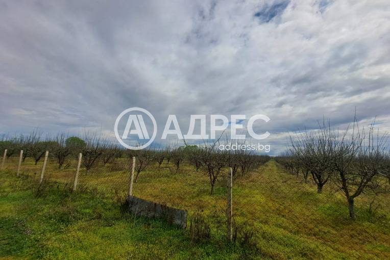 Парцел/Терен, Труд, 690514, Снимка 1