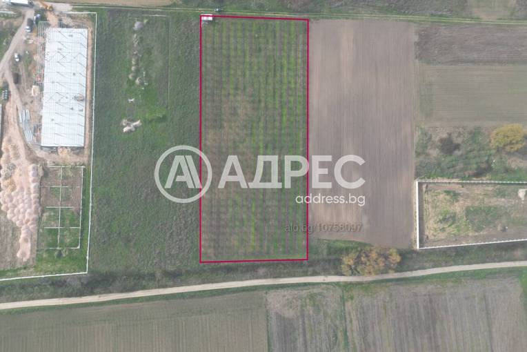 Парцел/Терен, Труд, 690514, Снимка 5