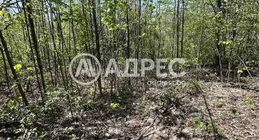 Парцел/Терен, Велчево, 693515, Снимка 3