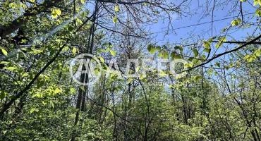 Парцел/Терен, Велчево, 693515, Снимка 4