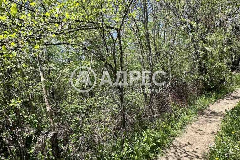 Парцел/Терен, Велчево, 693515, Снимка 1