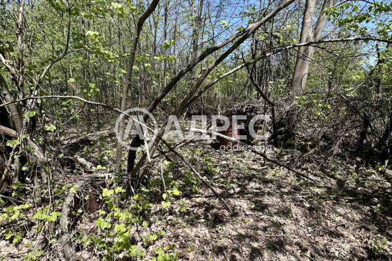 Парцел/Терен, Велчево, 693515, Снимка 2