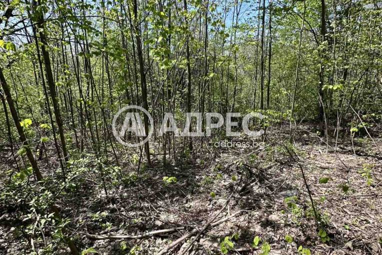 Парцел/Терен, Велчево, 693515, Снимка 3