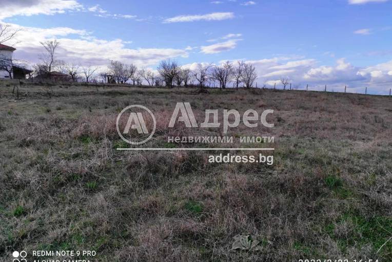 Земеделска земя, Българчево, 575519, Снимка 3