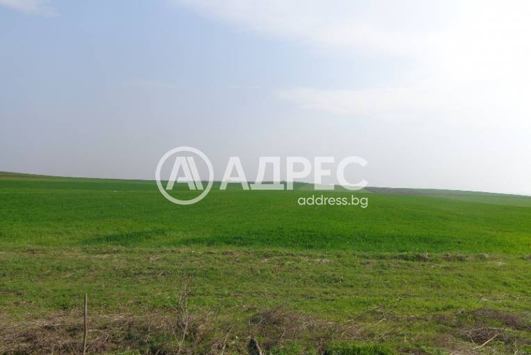 Парцел/Терен, Дражево, 238524, Снимка 1