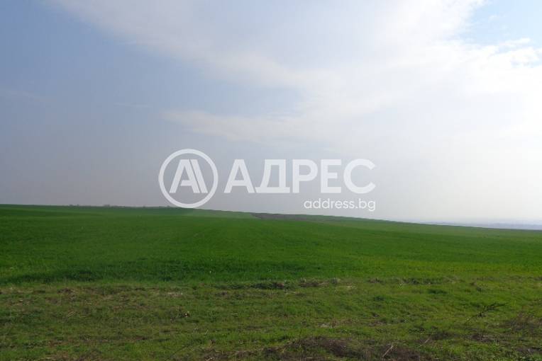 Парцел/Терен, Дражево, 238524, Снимка 2