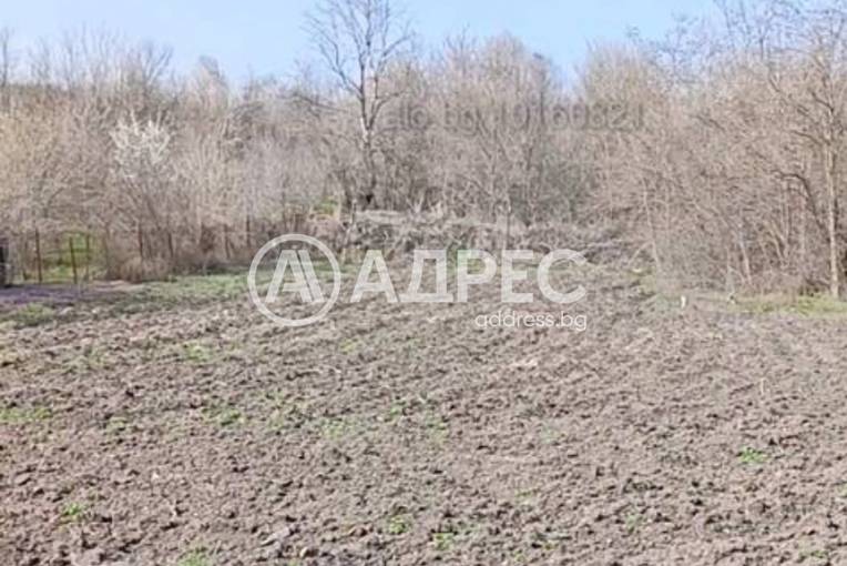 Къща/Вила, Гарваново, 656536, Снимка 2