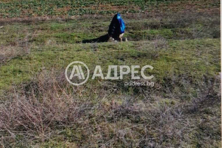 Парцел/Терен, Благоевград, Струмско, 660542, Снимка 1