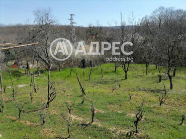 Парцел/Терен, Осеново, 690546, Снимка 10