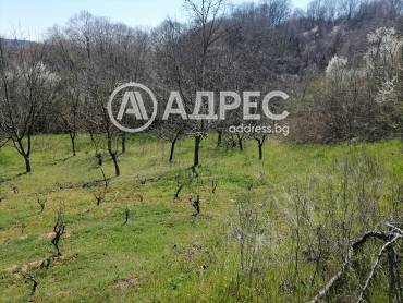 Парцел/Терен, Осеново, 690546, Снимка 12