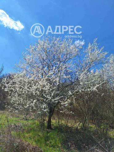 Парцел/Терен, Осеново, 690546, Снимка 14