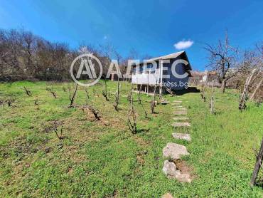 Парцел/Терен, Осеново, 690546, Снимка 3