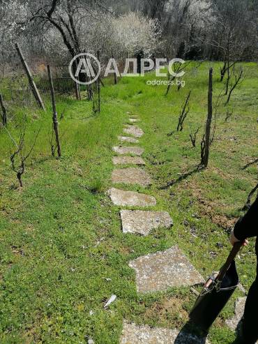 Парцел/Терен, Осеново, 690546, Снимка 4