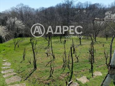 Парцел/Терен, Осеново, 690546, Снимка 6