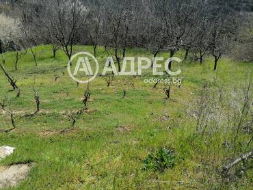 Парцел/Терен, Осеново, 690546, Снимка 7