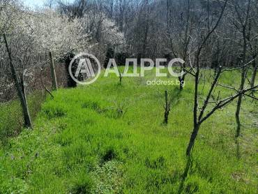 Парцел/Терен, Осеново, 690546, Снимка 8