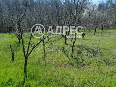 Парцел/Терен, Осеново, 690546, Снимка 9