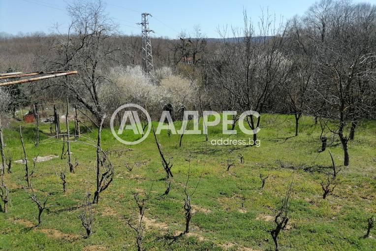 Парцел/Терен, Осеново, 690546, Снимка 10