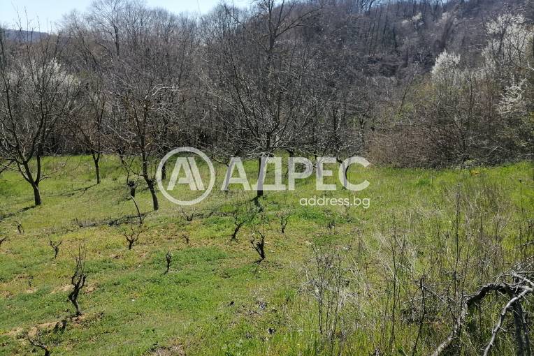 Парцел/Терен, Осеново, 690546, Снимка 12