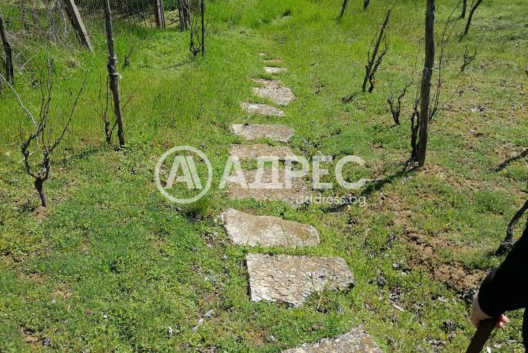 Парцел/Терен, Осеново, 690546, Снимка 4