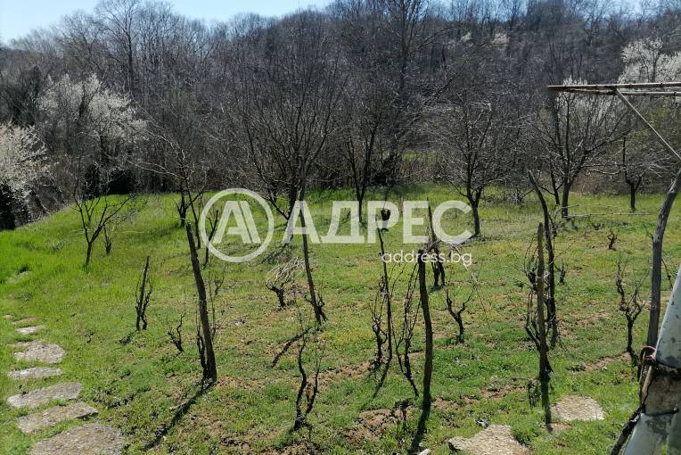 Парцел/Терен, Осеново, 690546, Снимка 6