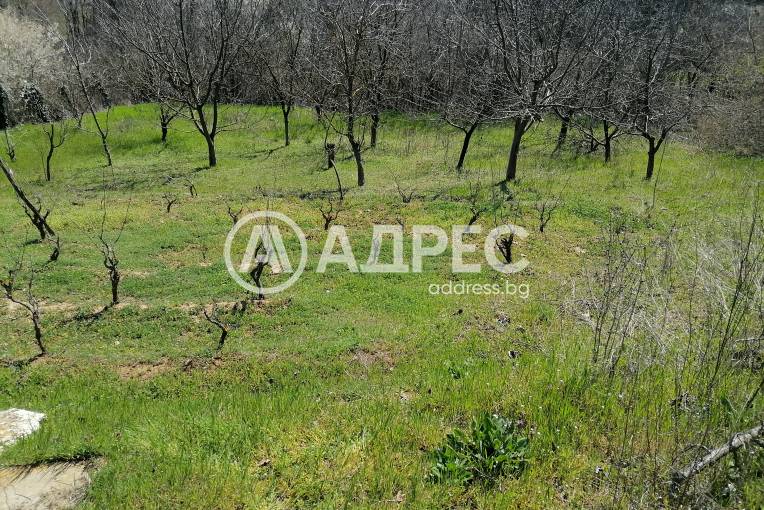 Парцел/Терен, Осеново, 690546, Снимка 7