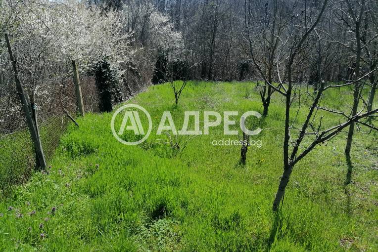 Парцел/Терен, Осеново, 690546, Снимка 8